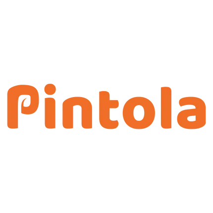Pintola